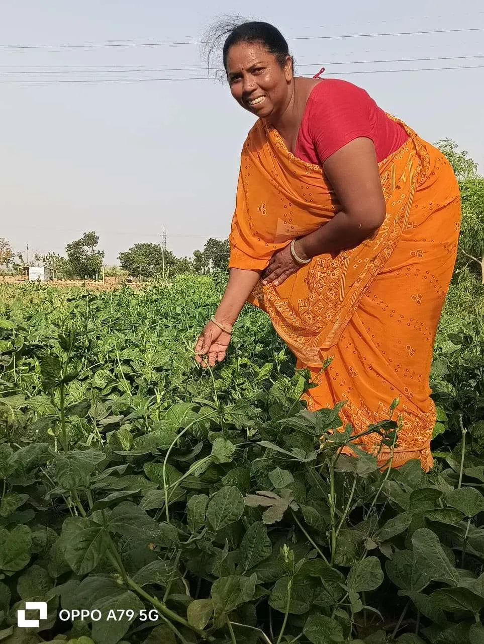 Farmer in the field
