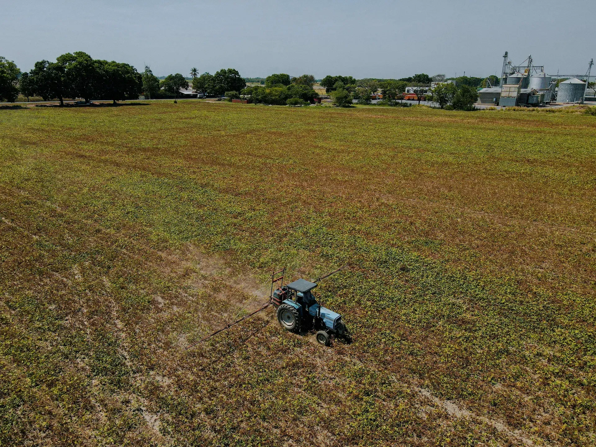 Harvest season in the field