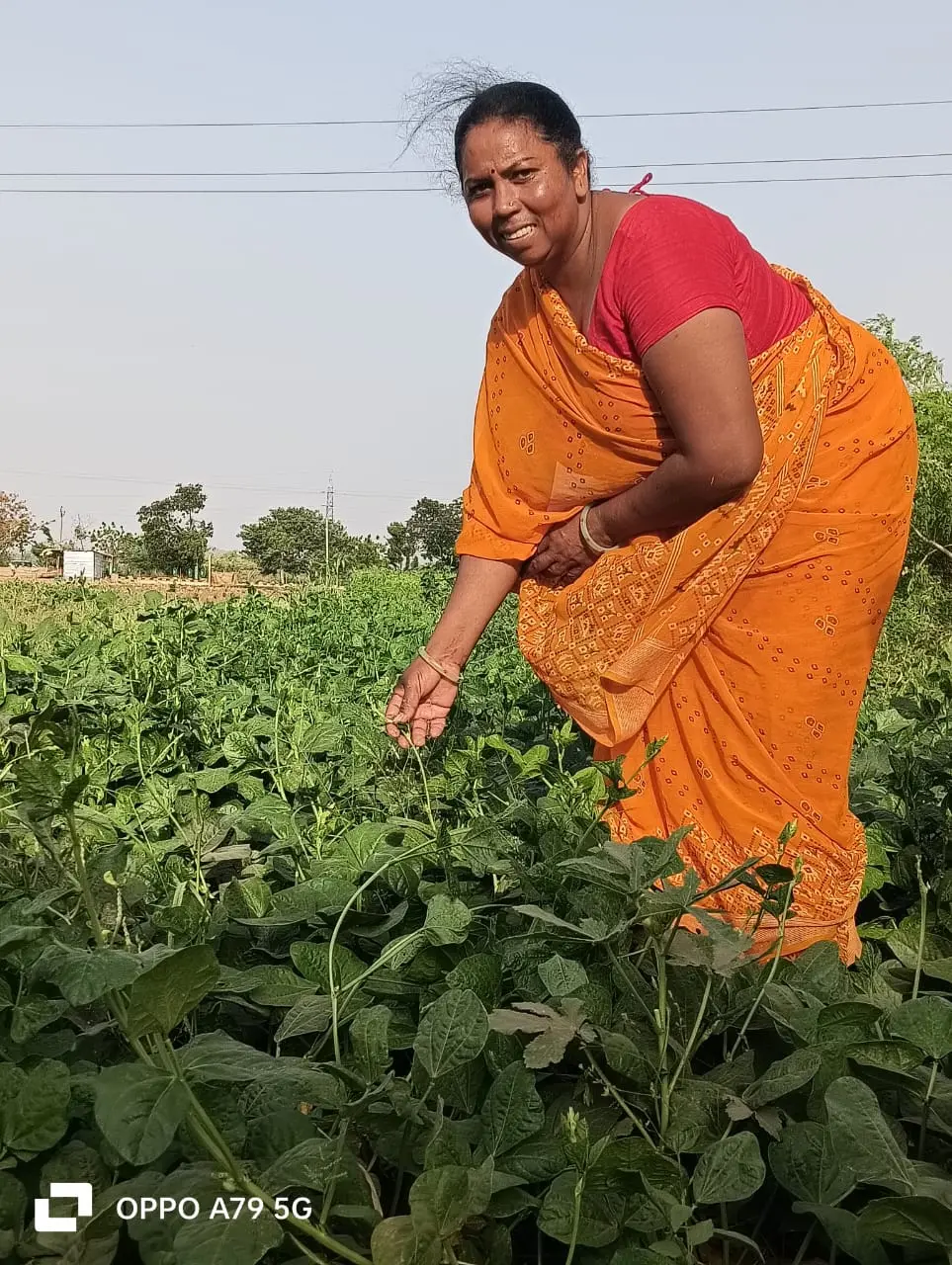 Shantabai