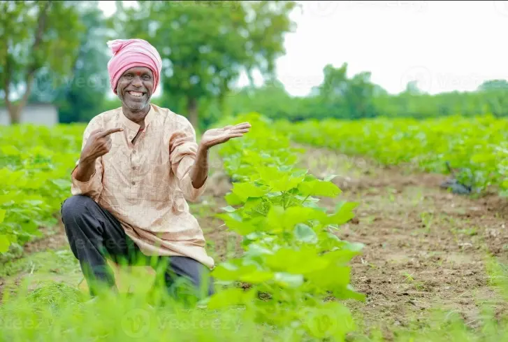 Farmer in Bilaspur field
