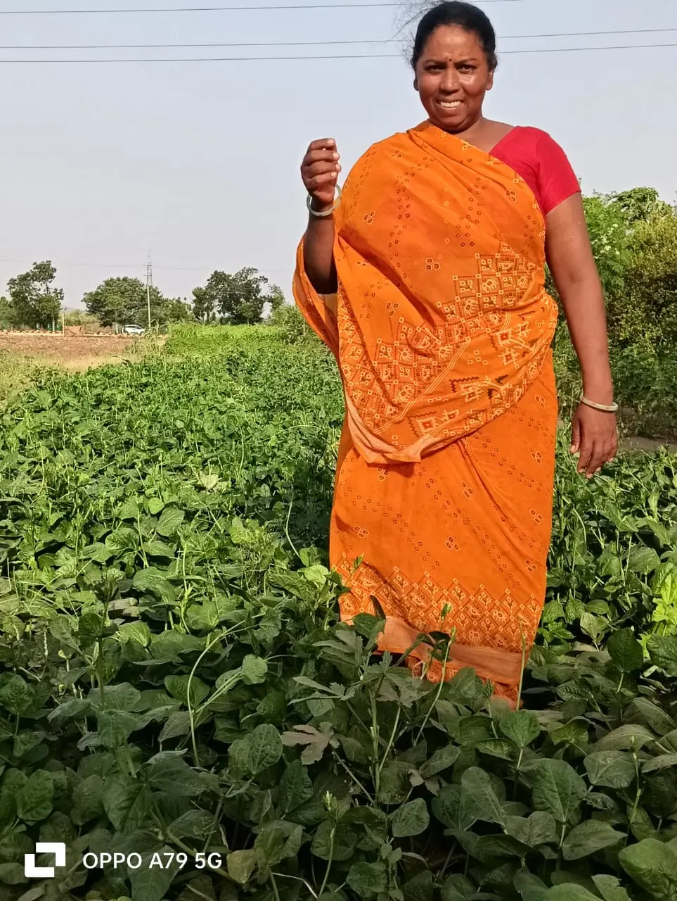Farmer in Songadh field